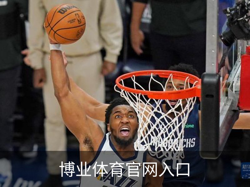 了解博业体育官网入口